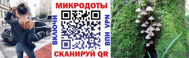 дарнет шоп  Братск  сайты даркнета состав  Галлюциногенные грибы ЛСД 